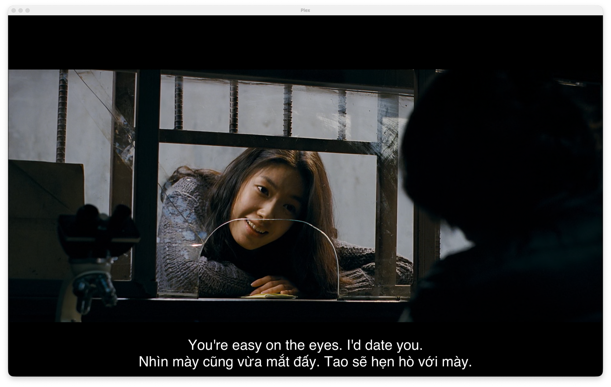 A movie playing in Plex with English and Vietnamese subtitles shown together